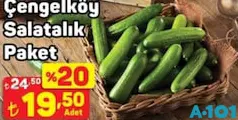 ÇENGELKÖY SALATALIK PAKET